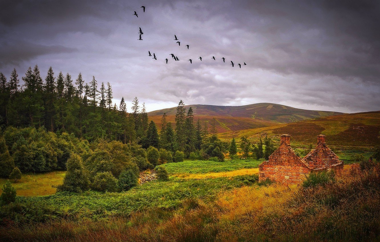 1340x850 Photo Wallpaper Autumn, Landscape, Scotland, Desktop