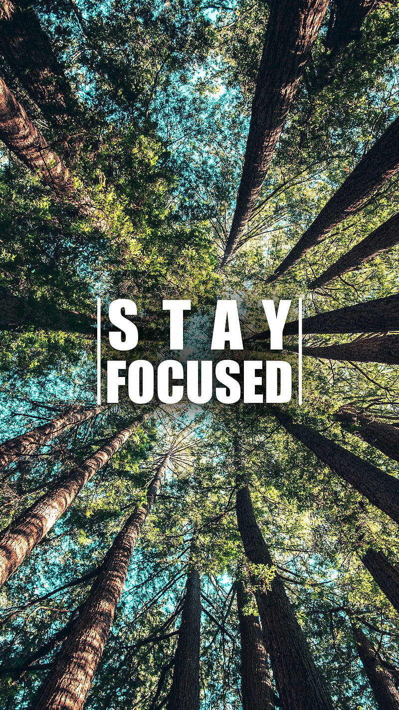 800x1430 Download Stay Focused Motivational, Phone