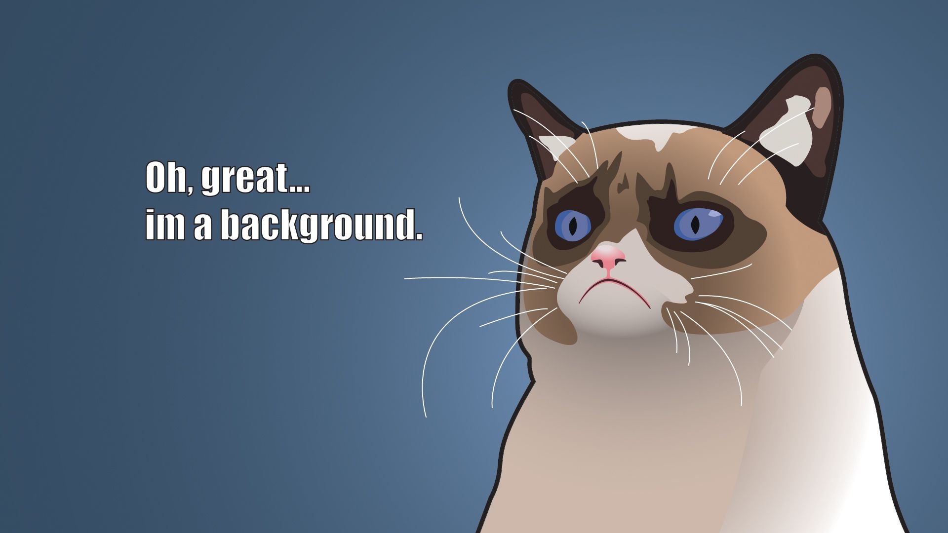 1920x1080 Grumpy Cat Wallpaper. Grumpy cat meme, Grumpy cat cartoon, Cat background, Desktop