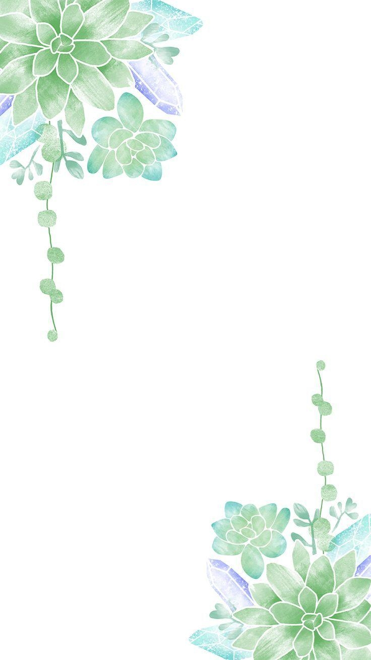 740x1310 Succulent Phone Wallpaper Free Succulent Phone, Phone