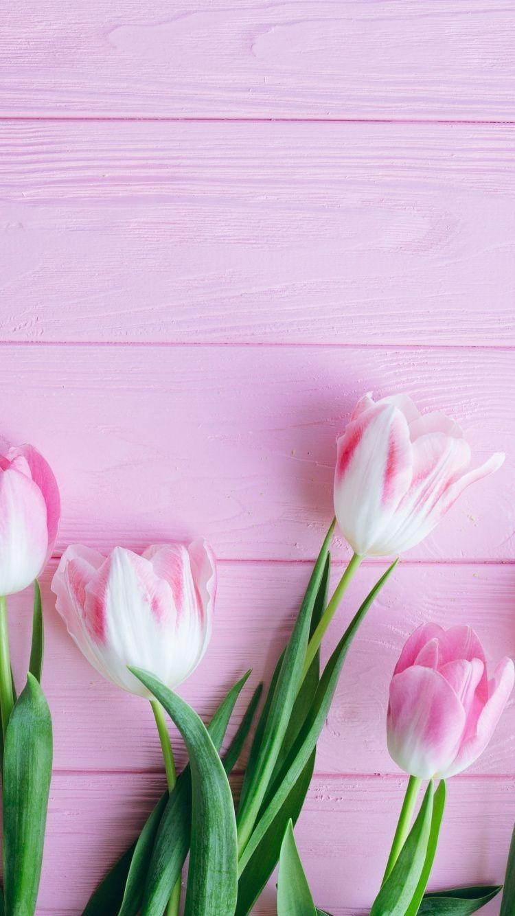 750x1340 Tulip, Flowers, Fresh, Wallpaper 7 Wallpaper Tulip, Phone