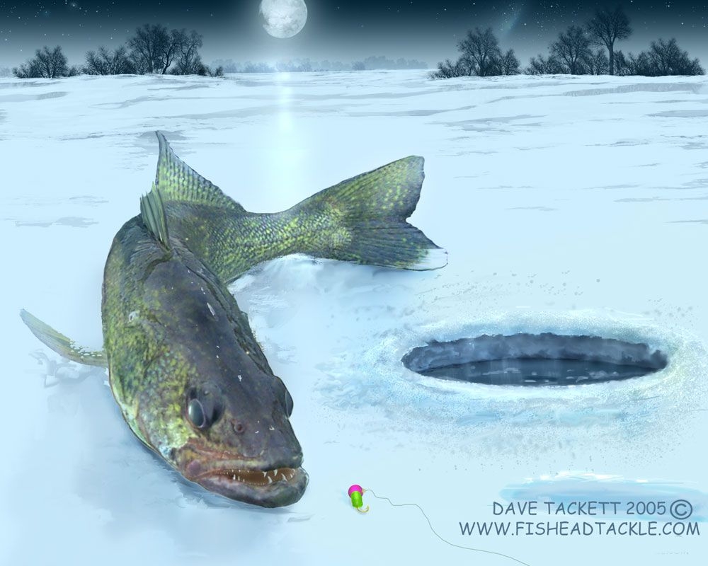 1000x800 Free download walleye on the ice [] for your Desktop, Mobile & Tablet. Explore Walleye Wallpaper. Toledo Walleye Wallpaper, Desktop