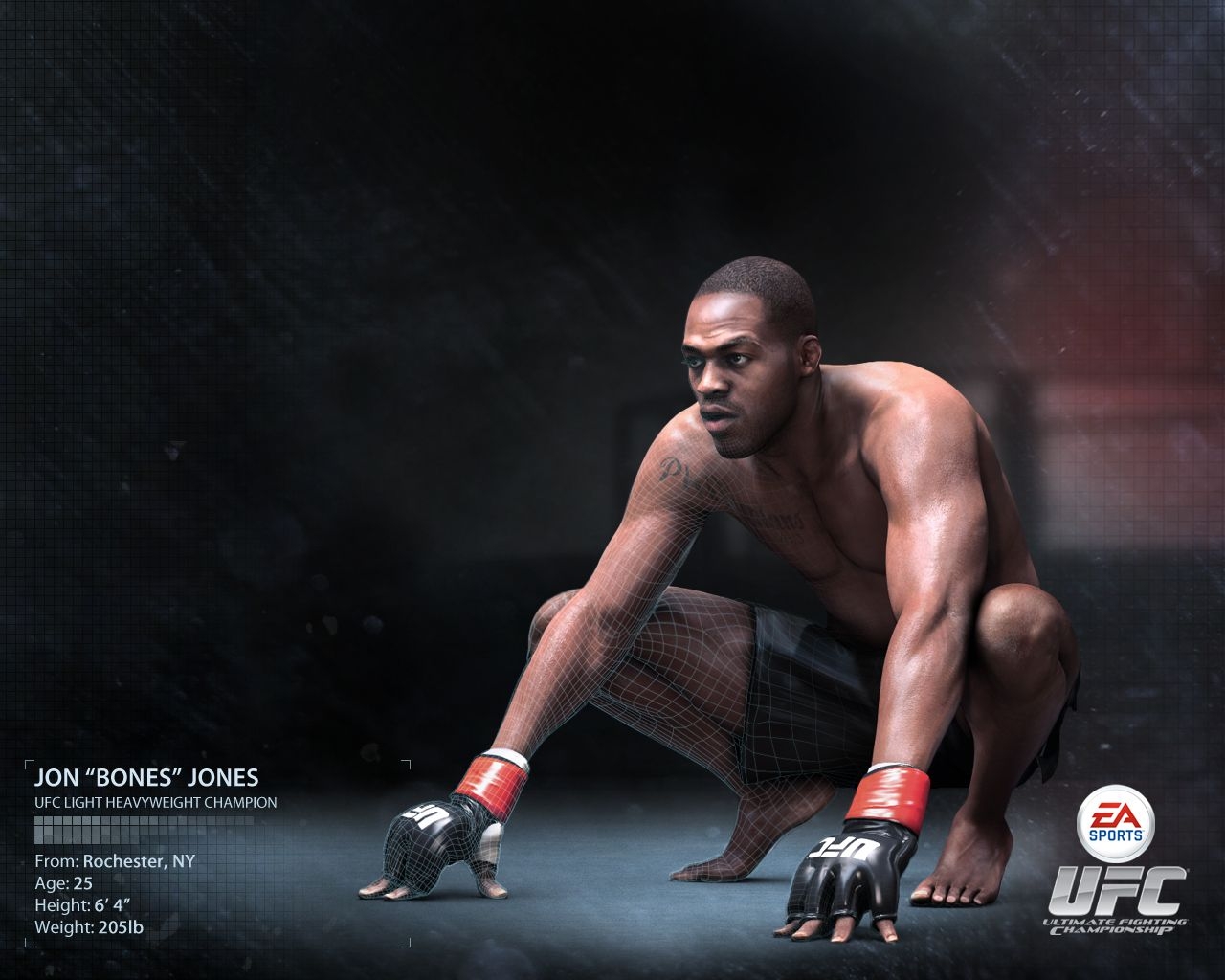 1280x1030 EA SPORTS UFC, Desktop