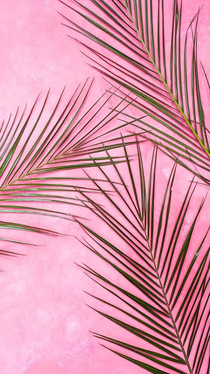 740x1310 Super Pretty iPhone X Wallpaper. Preppy Wallpaper. Pink wallpaper iphone, Preppy wallpaper, Tumblr wallpaper, Phone