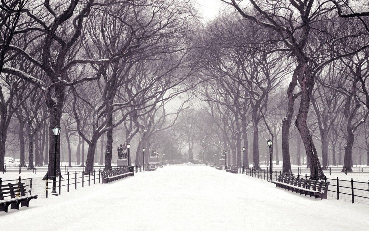 1280x800 Winter Computer Wallpaper, Desktop Backgroundx800, Desktop