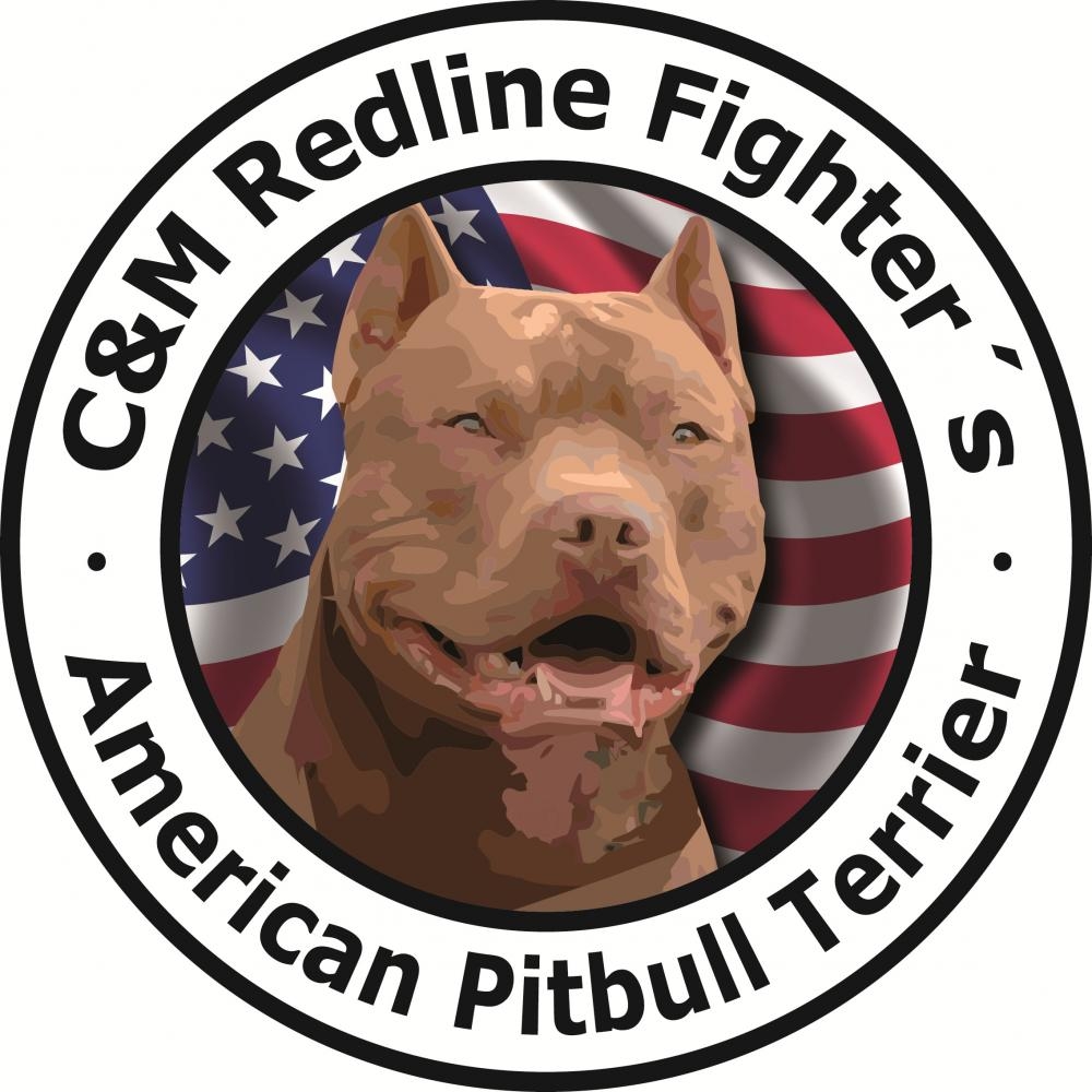 1000x1000 American Pitbull Terrier Red, Phone