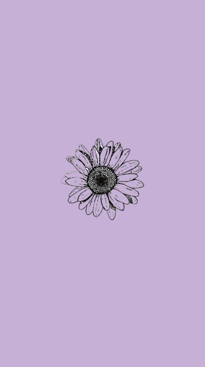 720x1280 Violet wallpaper, Aesthetic iphone wallpaper, Cute wallpaper, Phone