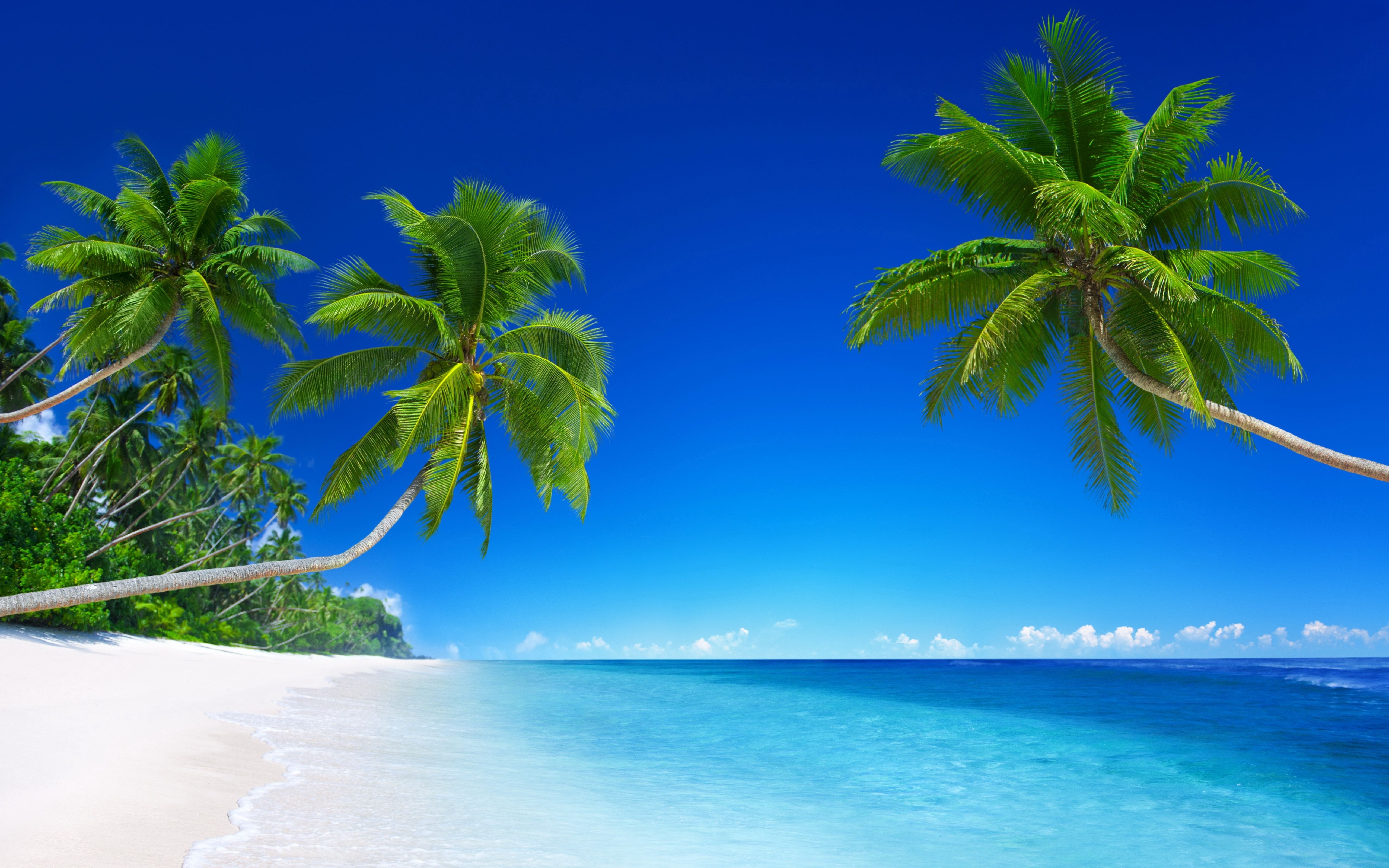 5120x3200 Tropical Beach Paradise 5K Wallpaper, Desktop