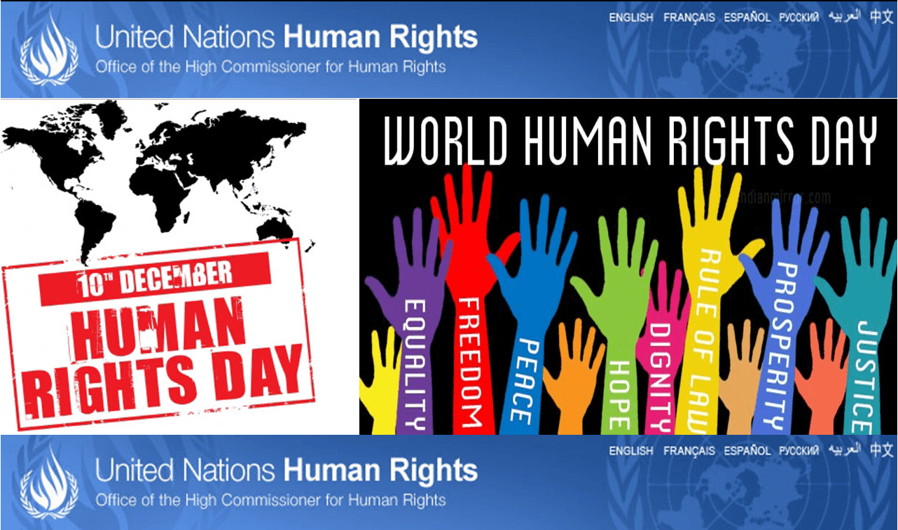 1290x760 human rights day Gallery, Desktop