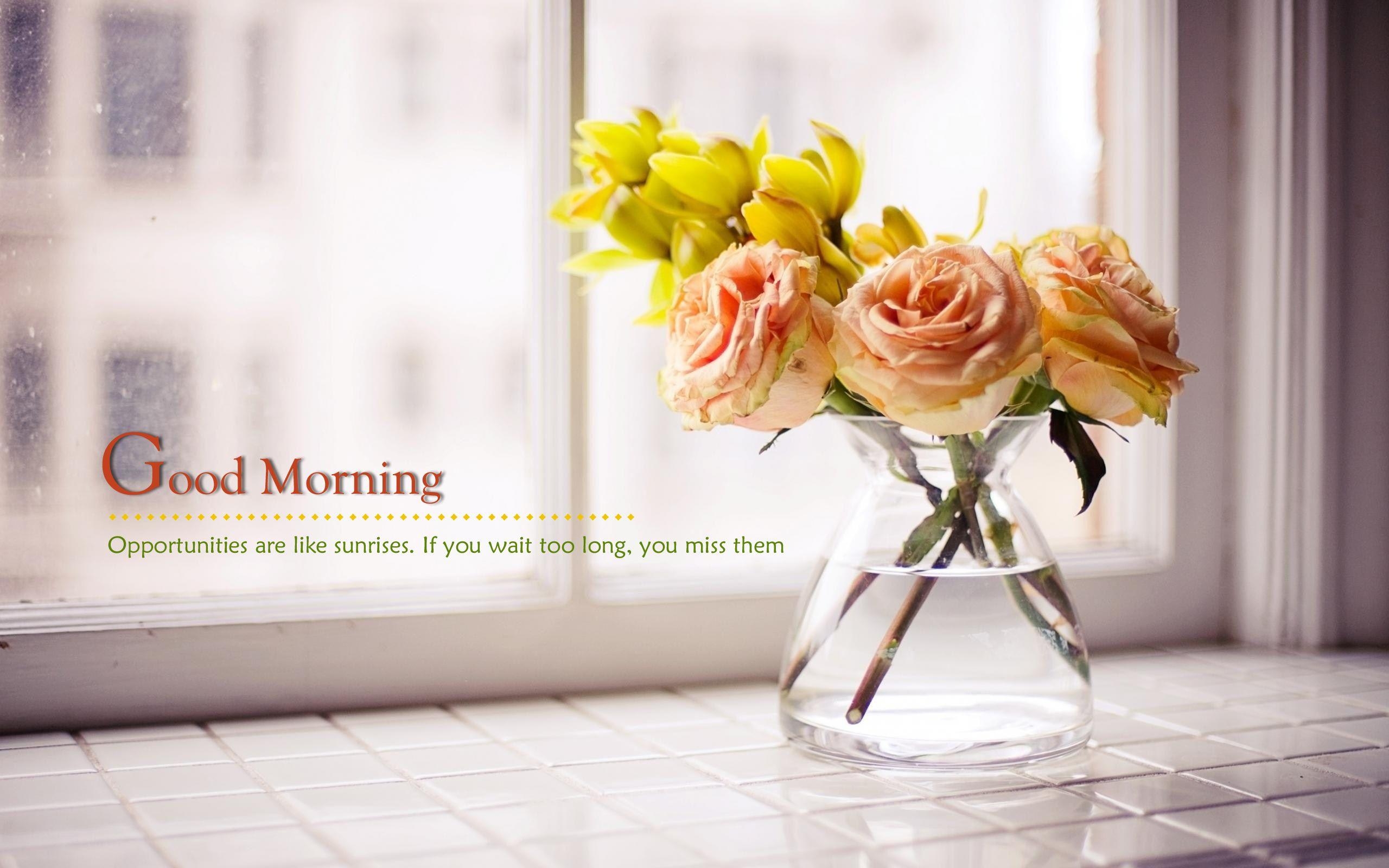 2560x1600 Good Morning Flowers HD Wallpaper & Image Wallpaper HD, Desktop