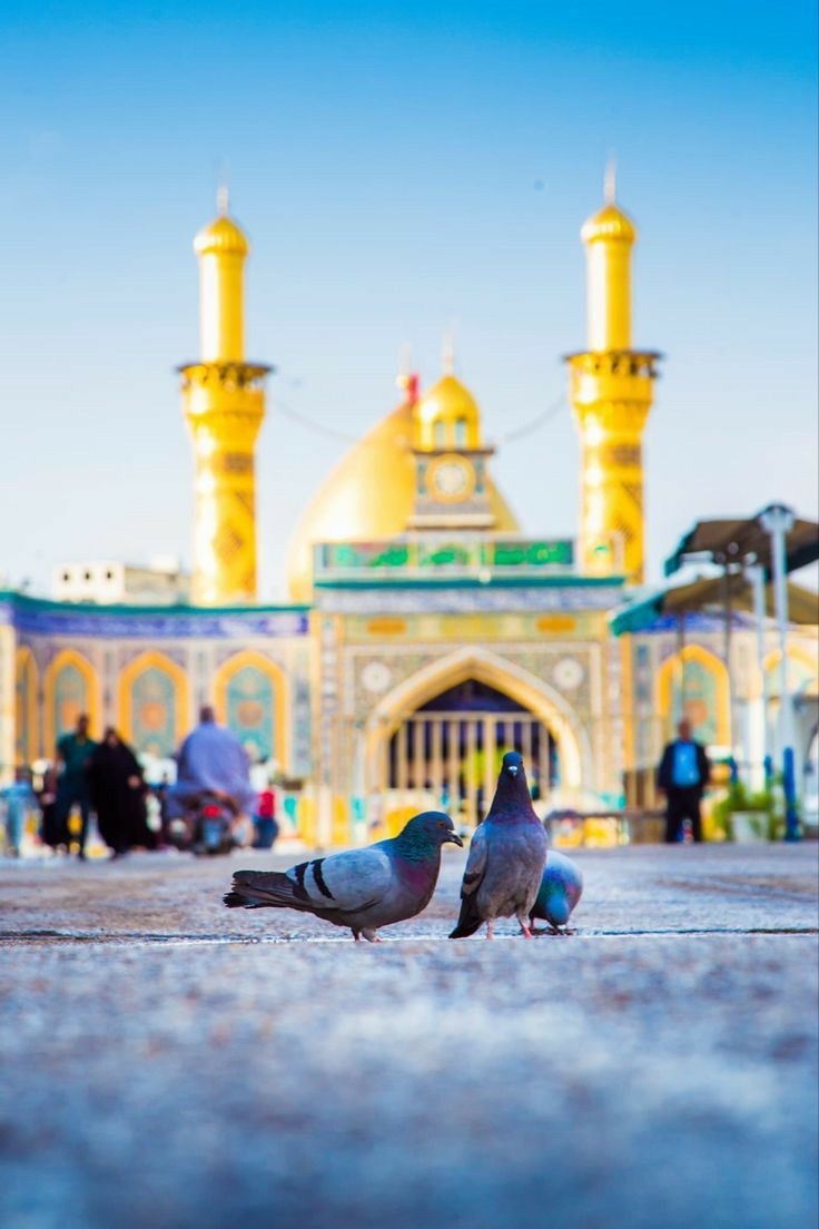 740x1110 Karbala picture, Karbala photography, Phone