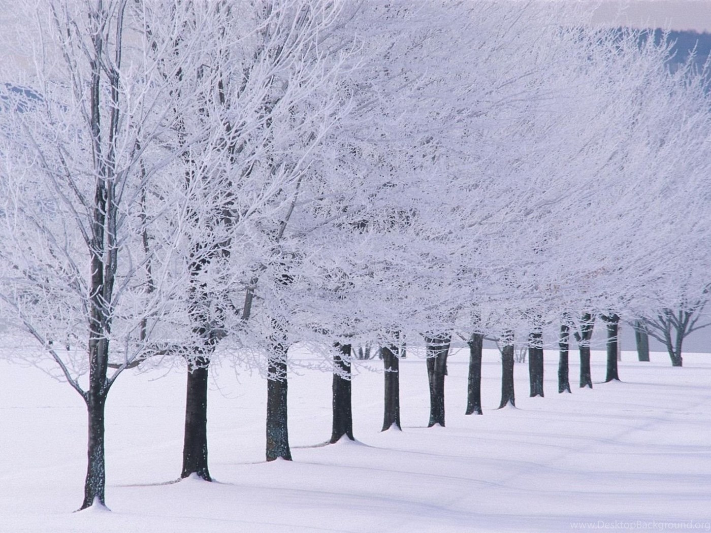 1400x1050 Winter Wonderland HD Wallpaper And Picture, New Wallpaper Desktop Background, Desktop