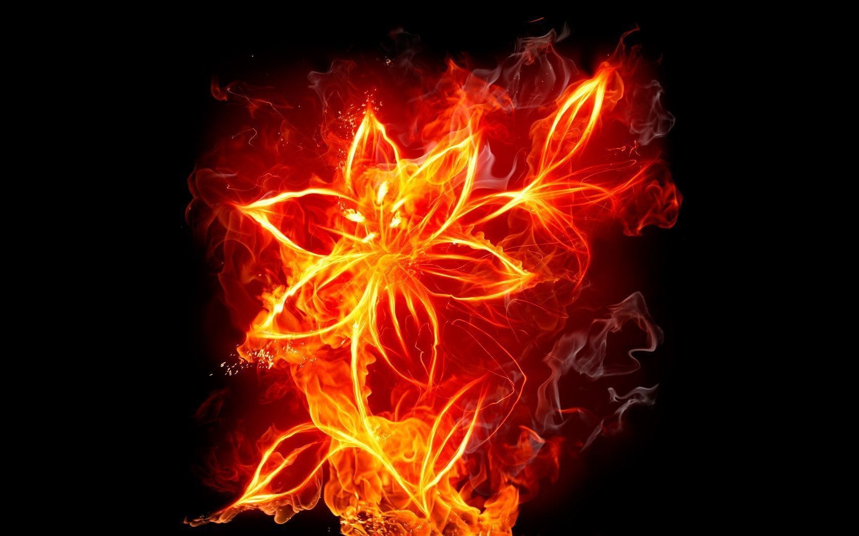 1680x1050 Rose On Fire HD Background, Desktop