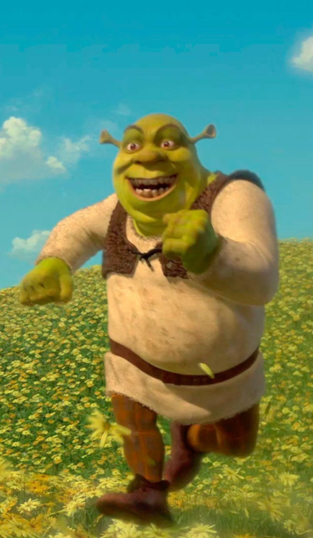 1000x1720 Shrek 2 (2014). Shrek (2). CosPlay. Shrek, Phone