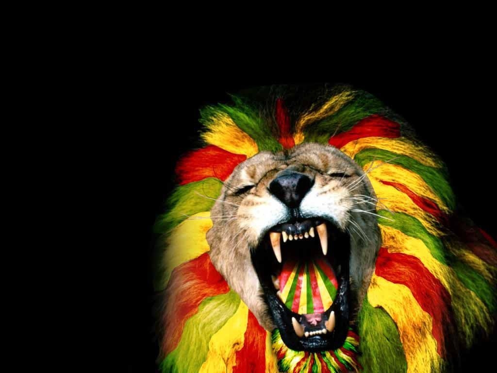 1030x770 Rasta Lion Wallpaper (30 Wallpaper), Desktop