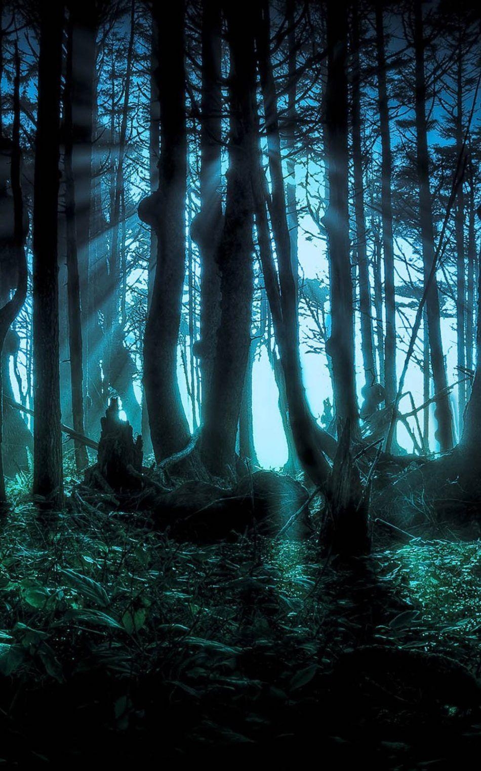 950x1520 Halloween Scary Forest 4K Ultra HD Mobile Wallpaper, Phone