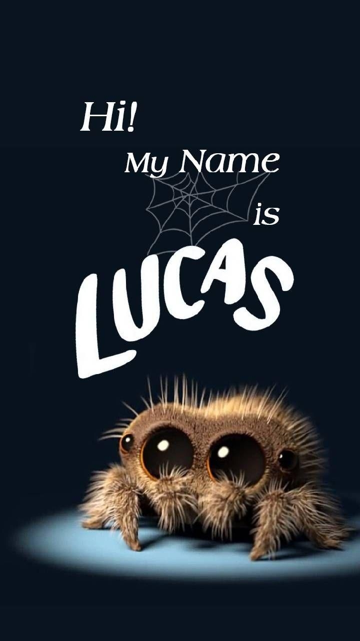 720x1280 Download Lucas Spider mtPXs Wallpaper, Phone