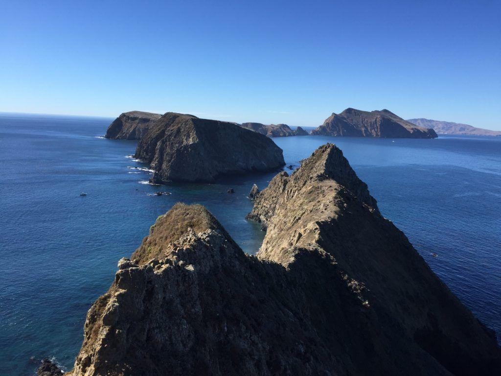 1030x770 This is what volunteering at Channel Islands National Park looks, Desktop