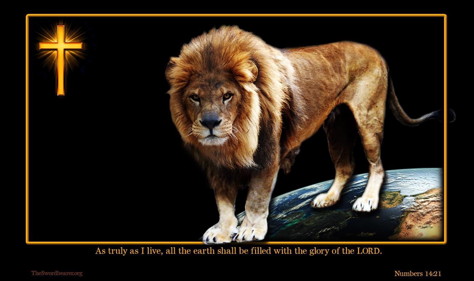 1600x950 Free download Wallpaper Lion of the tribe of Judah [], Desktop