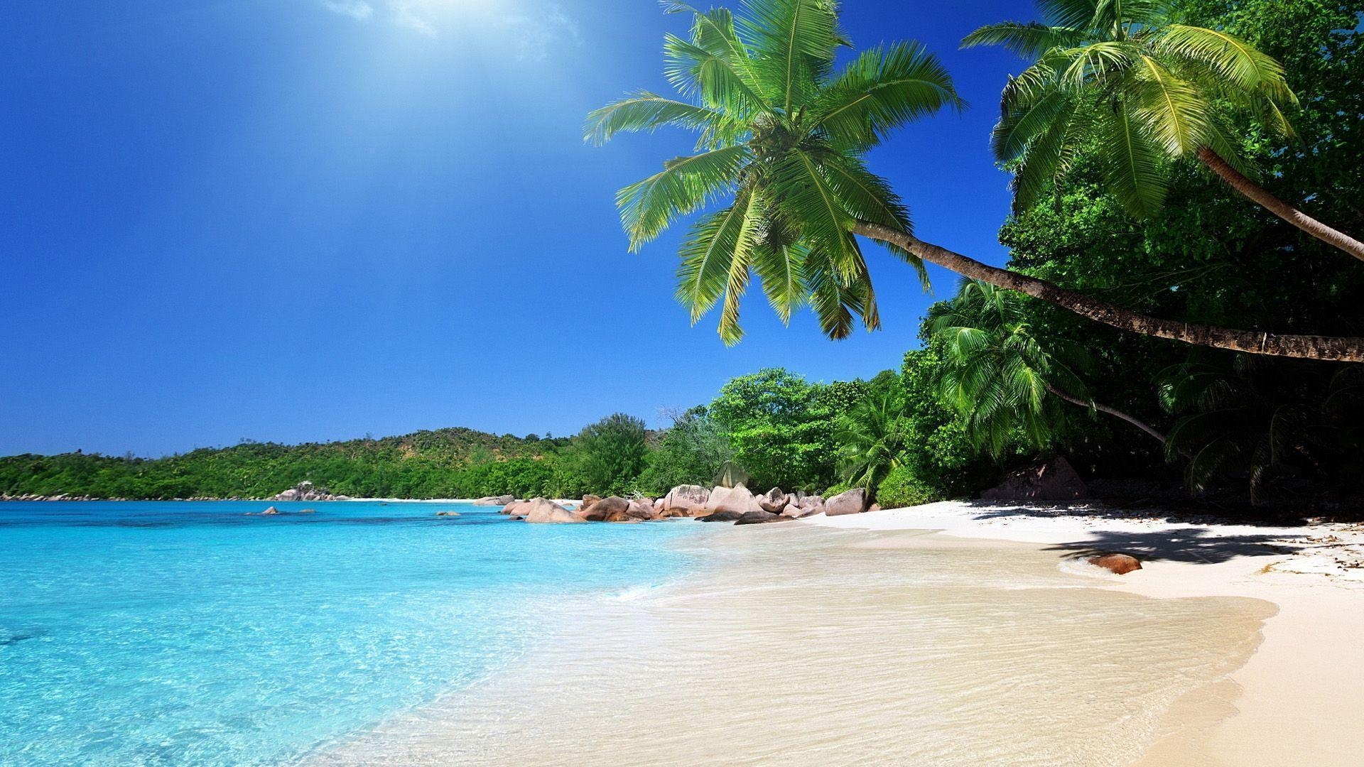 1920x1080 Florida Christmas Picture Wallpaper, Desktop
