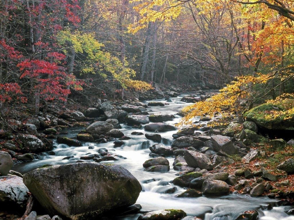 1030x770 Smoky Mountains National Park Wallpaper, Desktop