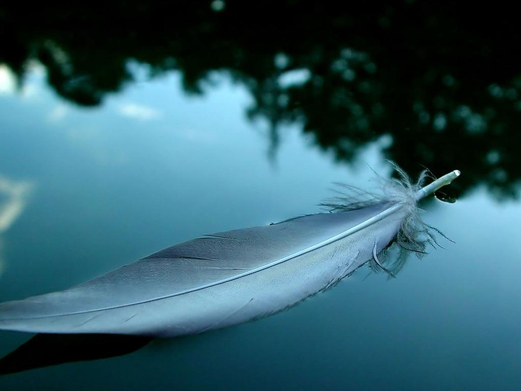 1030x770 Feather wallpaperx768, Desktop