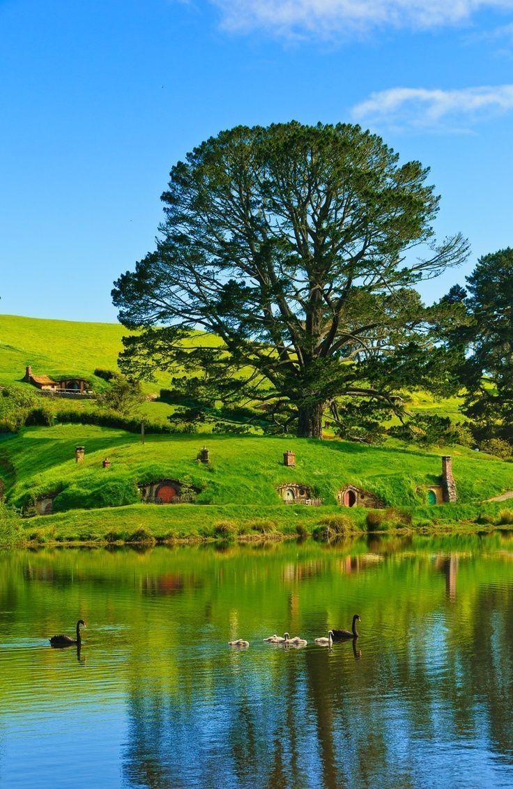 740x1140 Hobbiton in New Zealand: Lovely Place of Hobbit Houses family, Phone