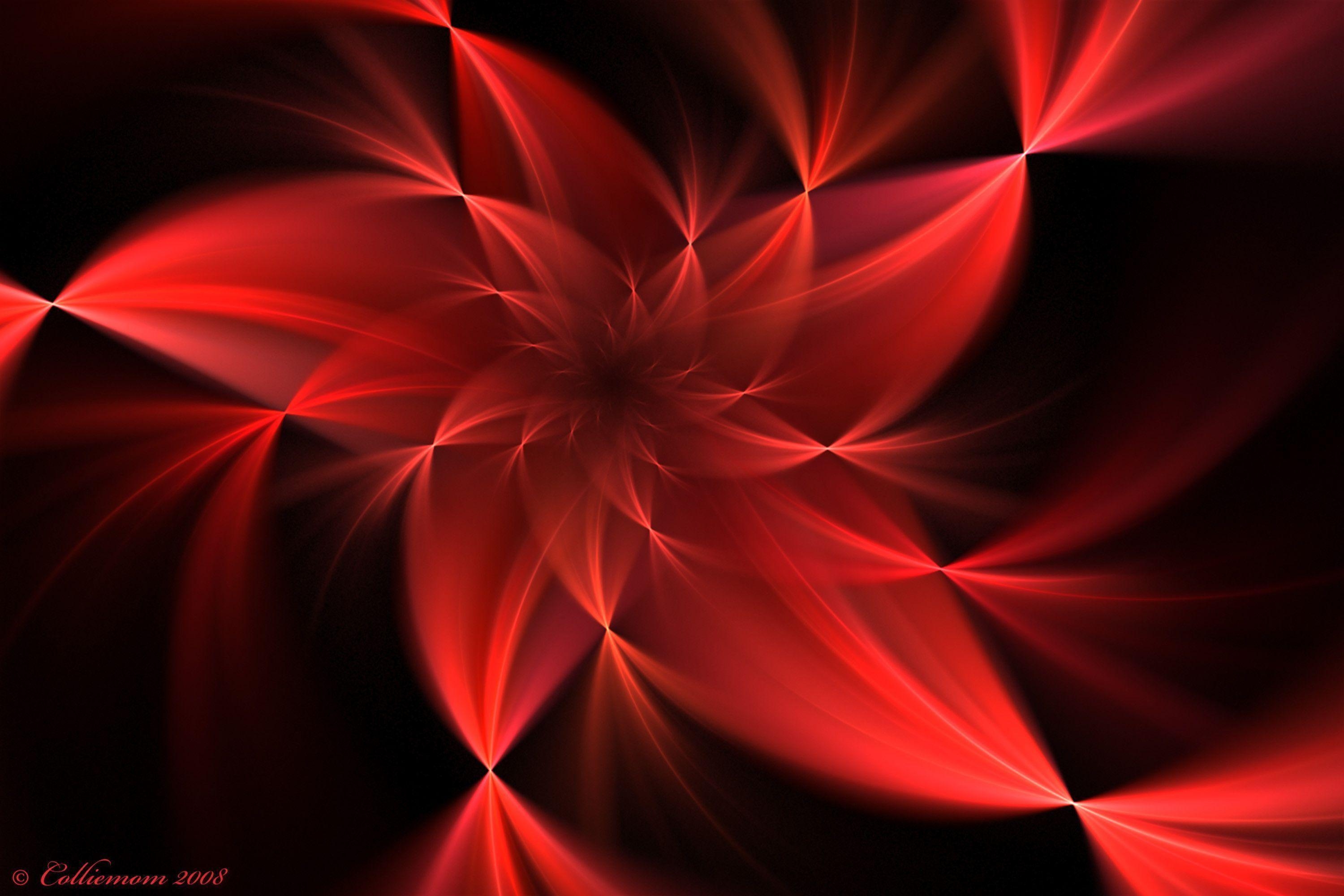 3000x2000 red flowers wallpaper, Desktop