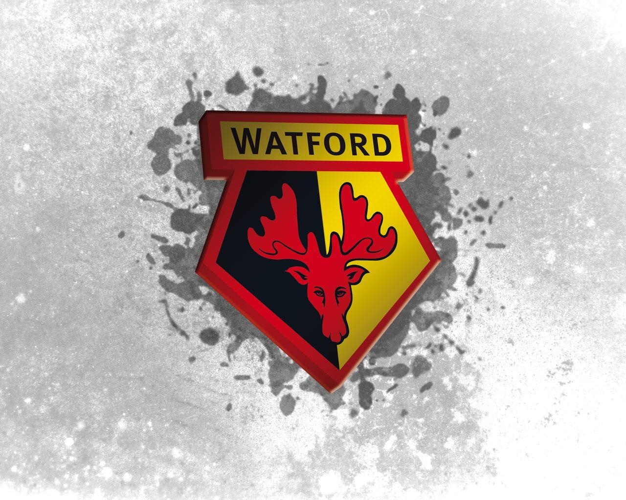 1280x1030 Watford. Fans. Downloads, Desktop