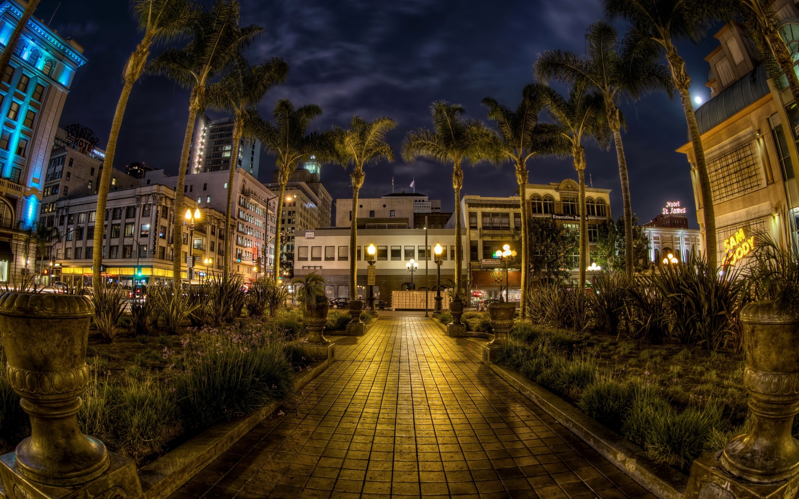 2560x1600 Wallpaper 4k usa, san diego, california, trees, palms, night, pavement, hdr 4k Wallpaper, Desktop