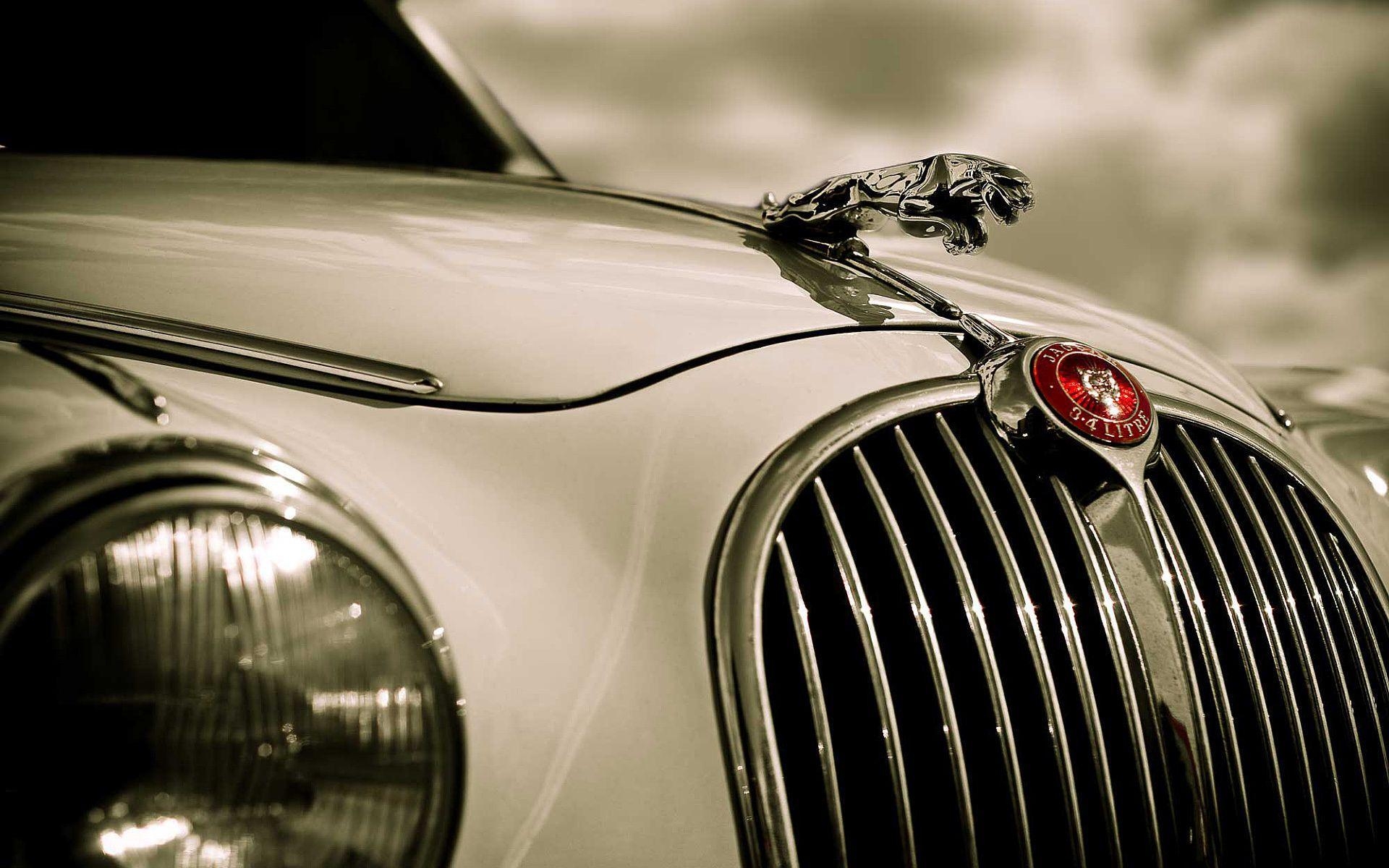 1920x1200 Free Jaguar Wallpaper Image For Desktop Download, Desktop