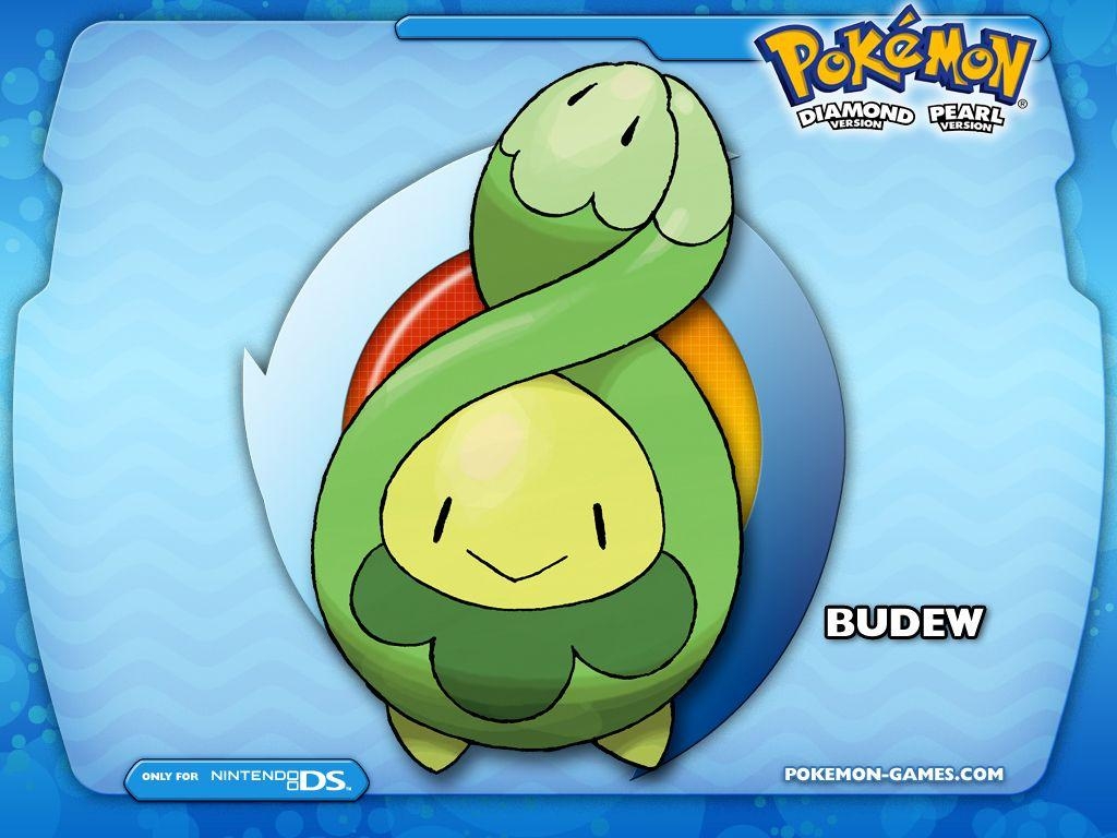 1030x770 desktop budew pokemon anime, Desktop