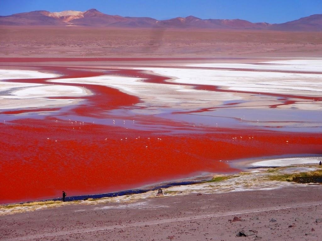 1030x770 Laguna Colorada, Desktop