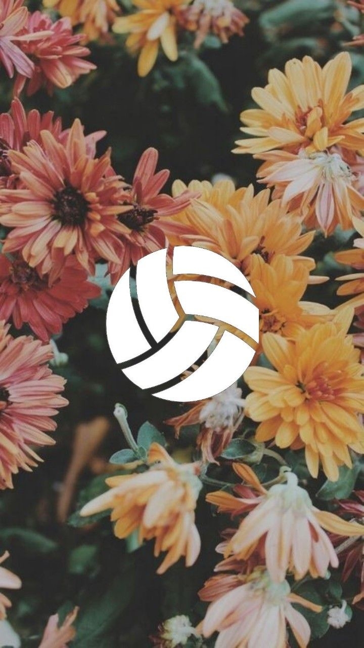 720x1280 Fondos de voleibol. Volleyball wallpaper, Volleyball background, Volleyball humor, Phone