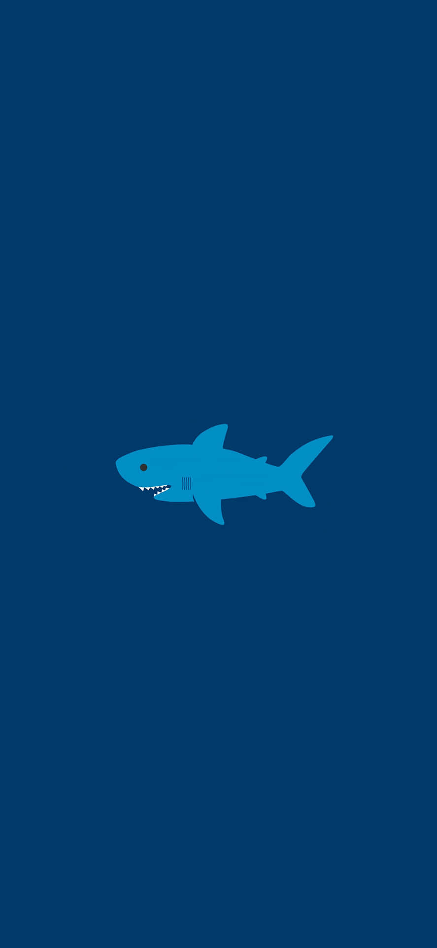 890x1920 Shark iPhone Wallpaper, Phone