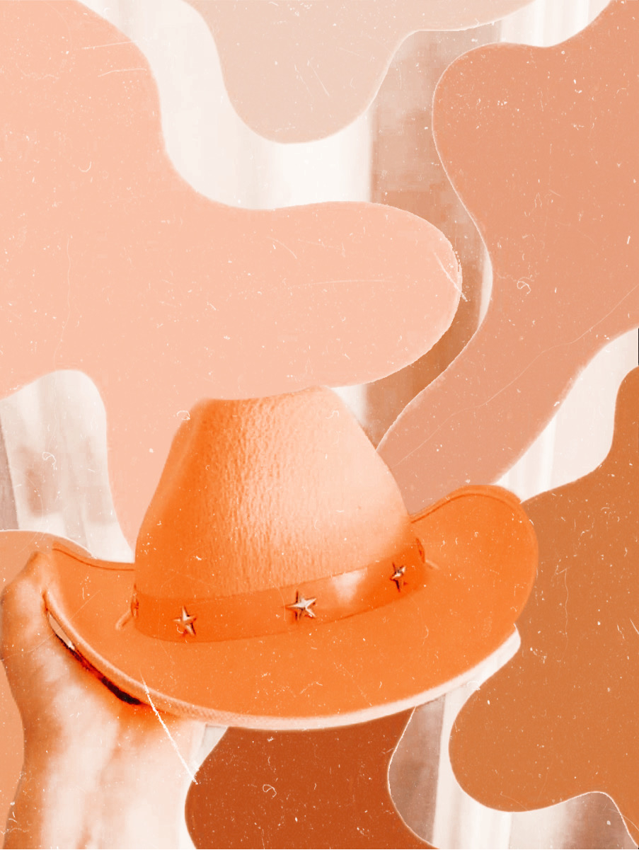 910x1210 pink hat cowgirl cowgirlhat image, Phone