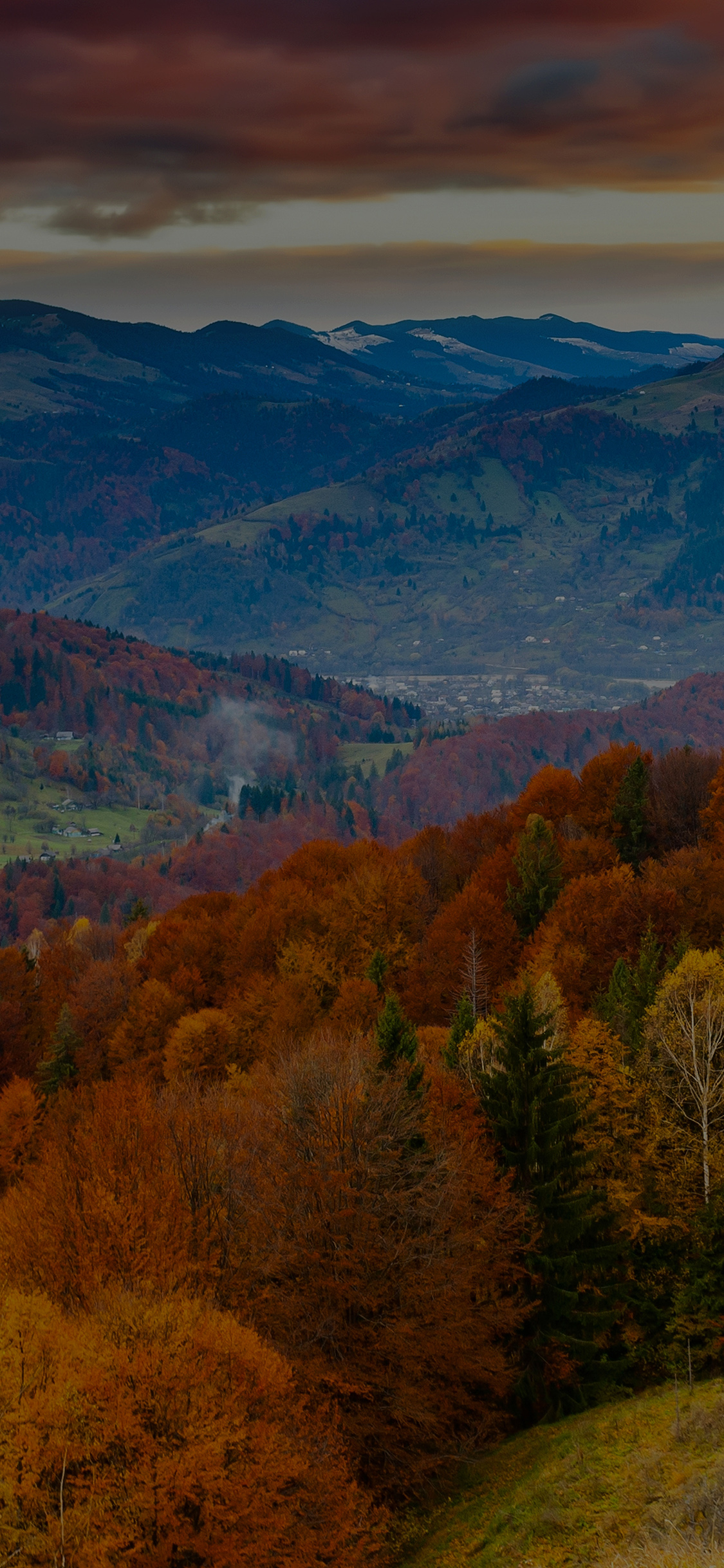 1130x2440 iPhone X wallpaper. fall mountain fun red orange tree flare nature dark, Phone