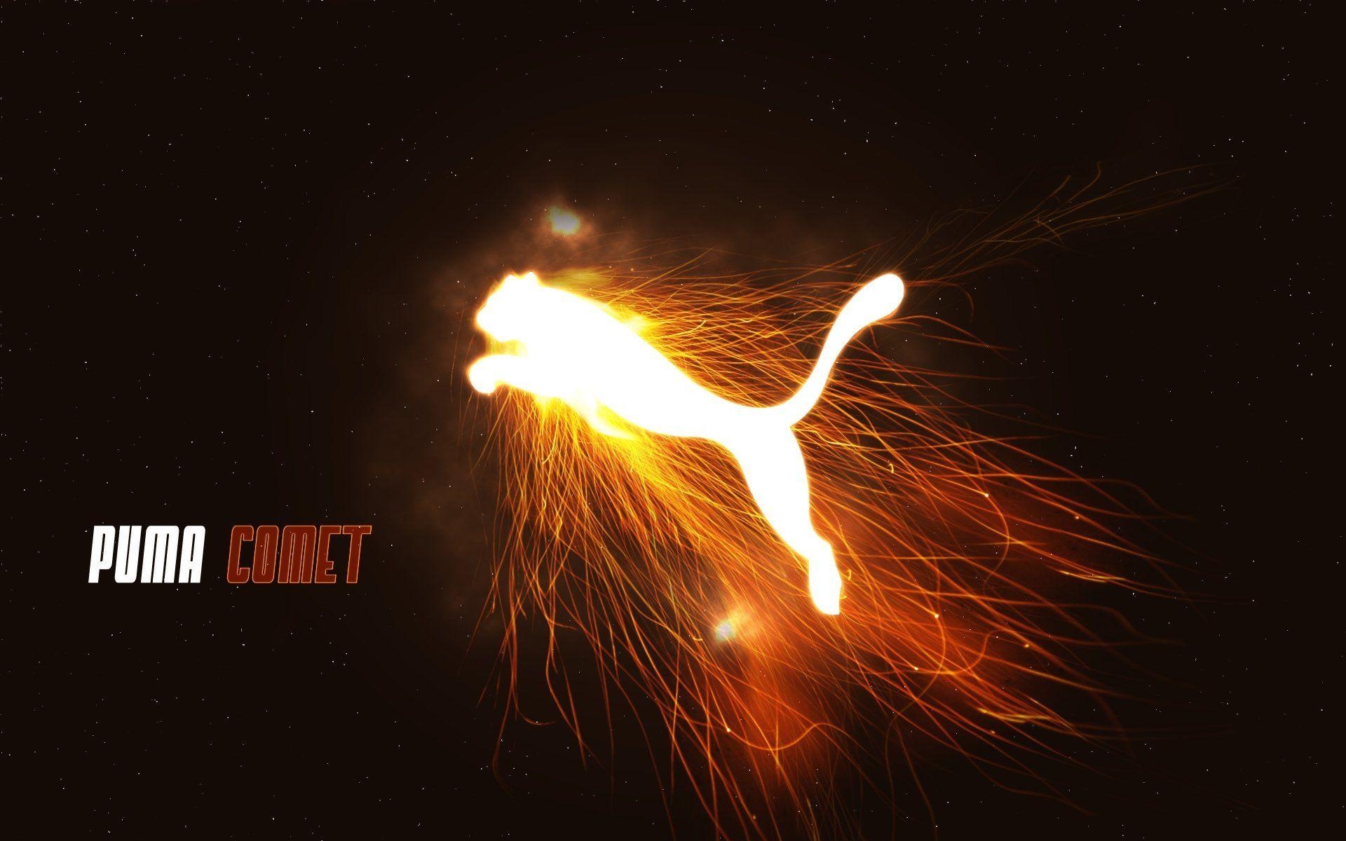 1920x1200 Puma Comet Wallpaper, Desktop