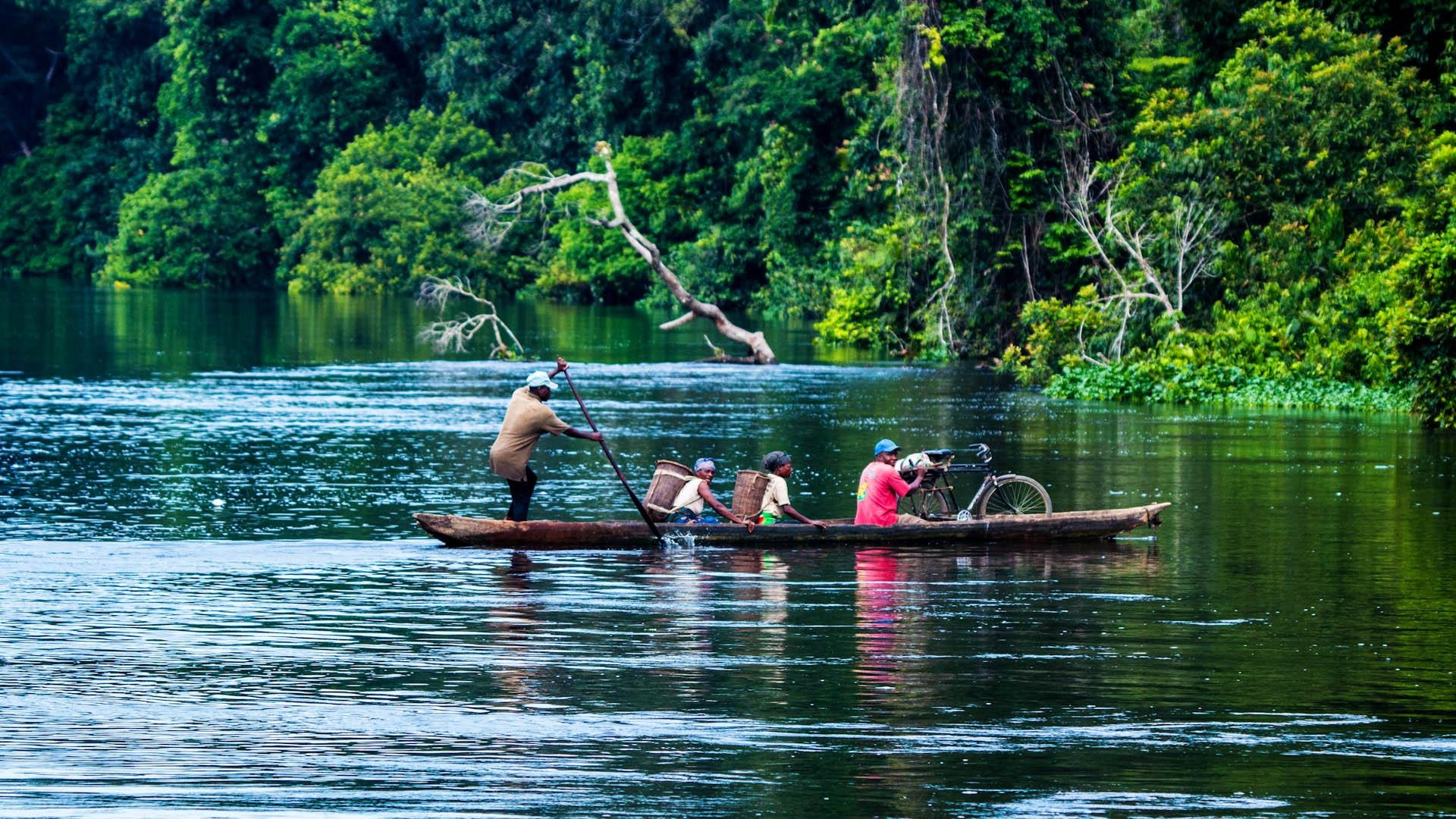 1920x1080 When to go to the Republic of Congo on Safari World Safaris, Desktop