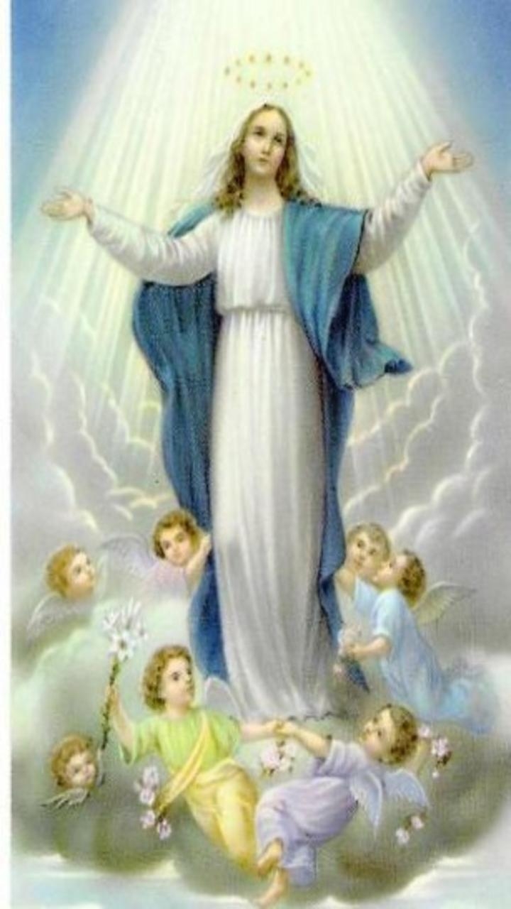 720x1280 Virgin Mary Wallpaper for Android, Phone