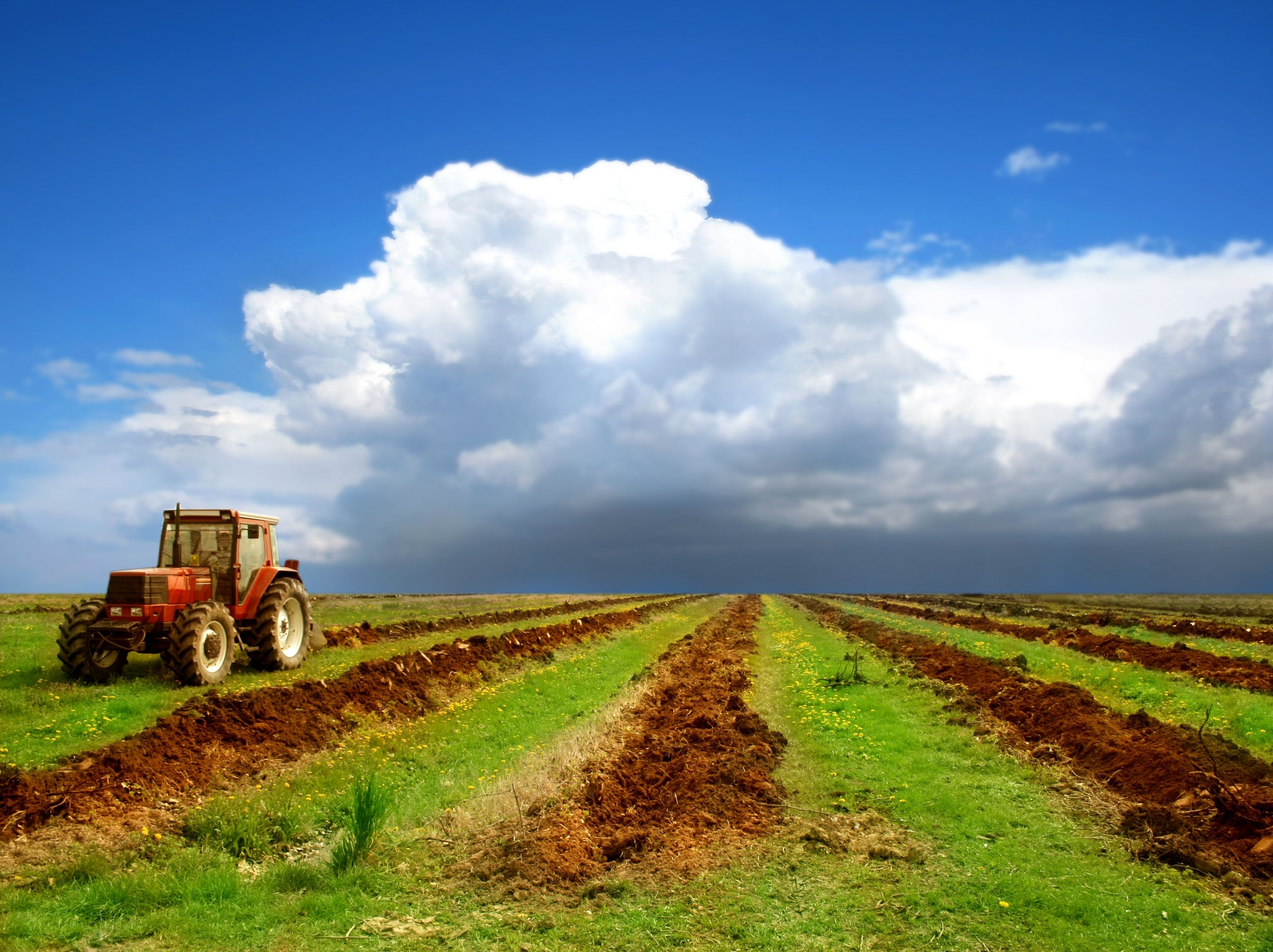 3870x2890 Agriculture Wallpaper Free Agriculture Background, Desktop