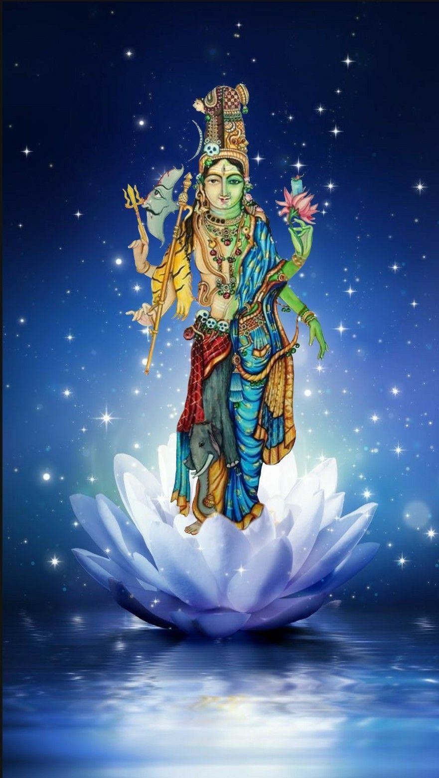 890x1570 Lord Shiva and Parvati as ardhnarishwar on lotus in creative art, Phone