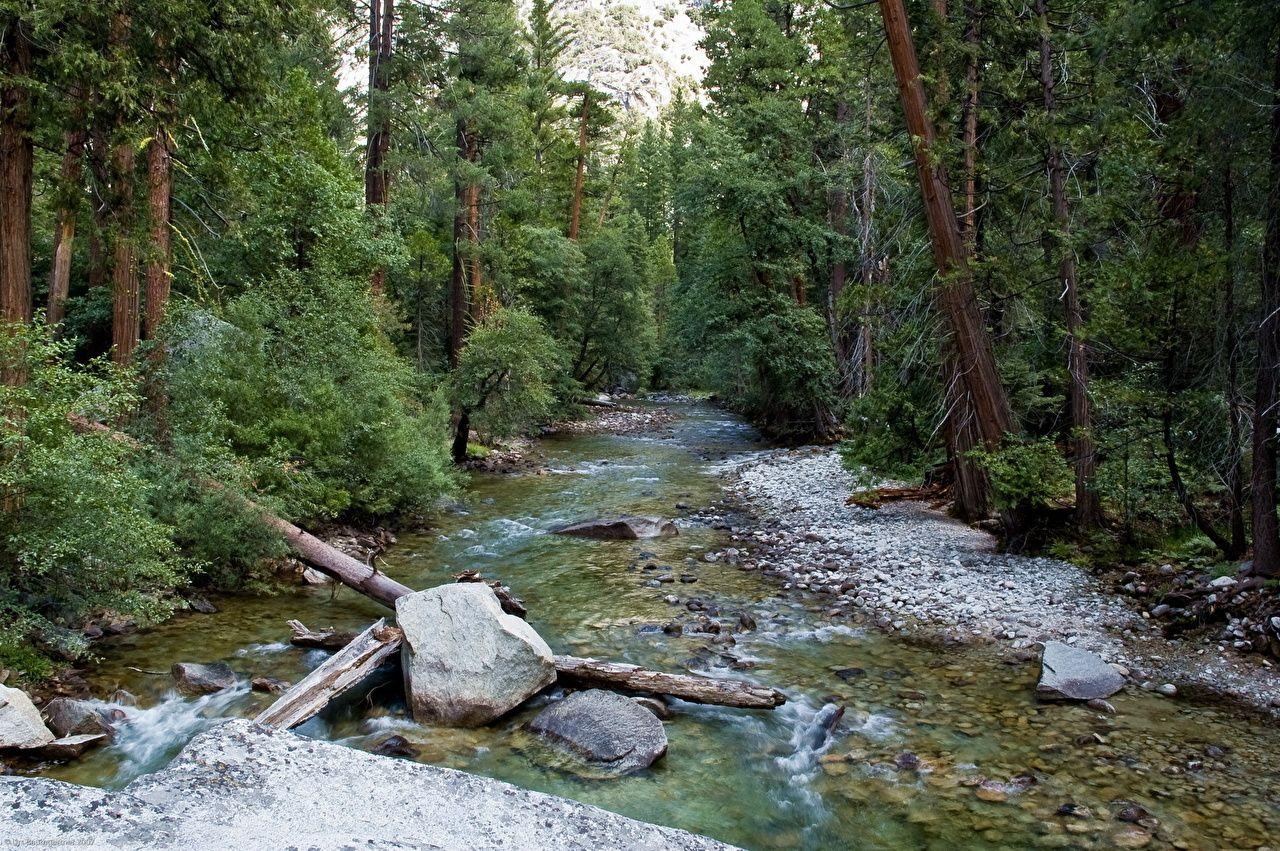 1280x860 Kings Canyon National Park [USA, California] Nature Parks, Desktop