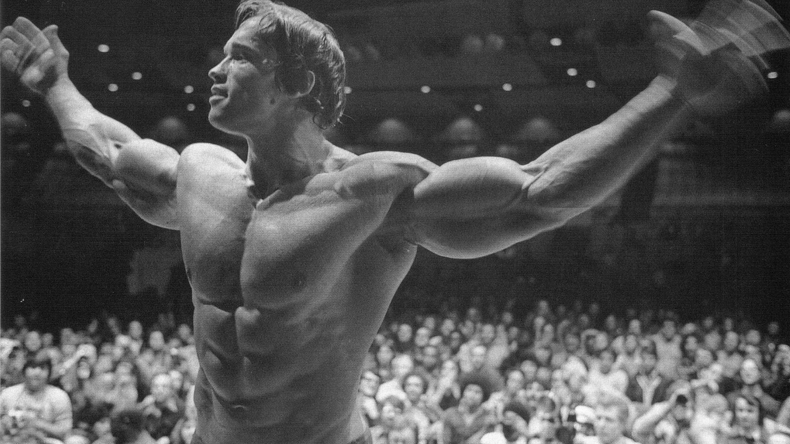 1600x900 Arnold Schwarzenegger Wallpaper HD / Desktop and Mobile Background, Desktop