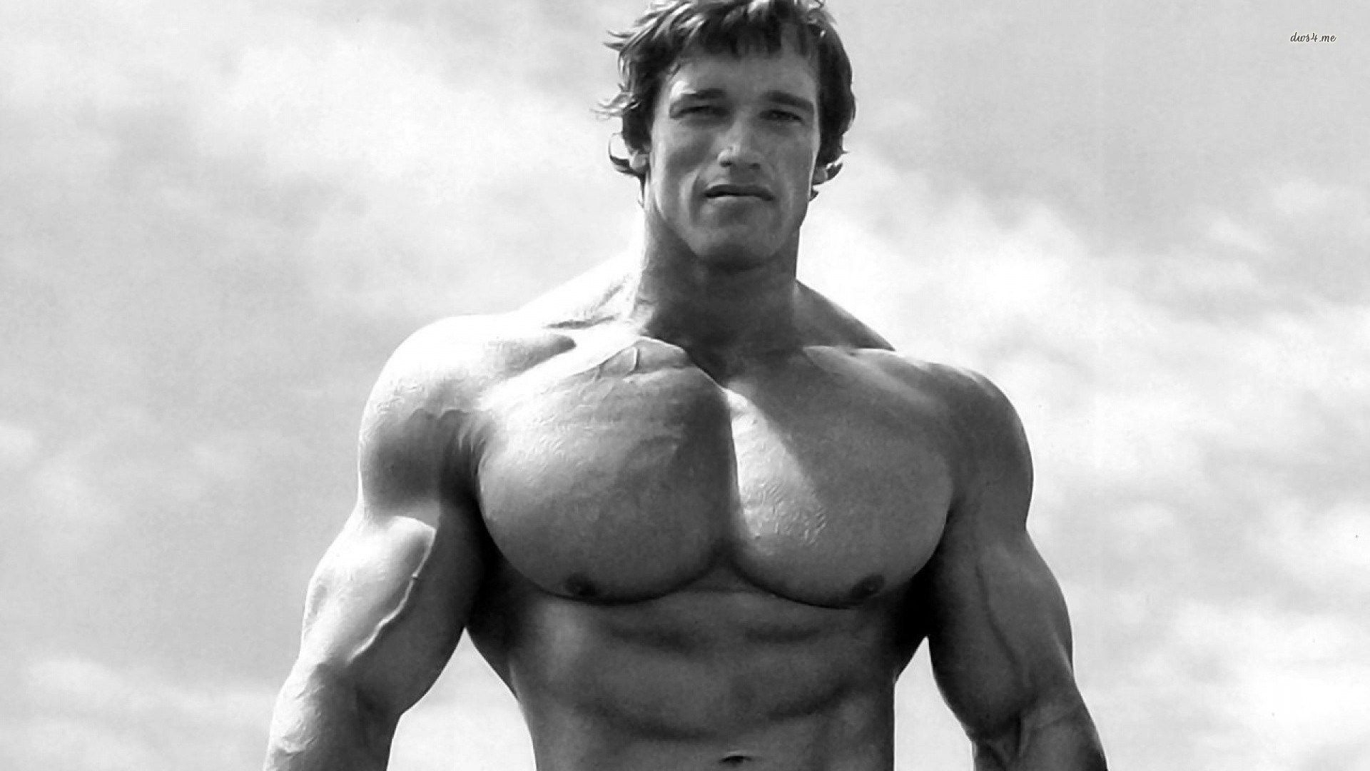 1920x1080 Zendha: Arnold Schwarzenegger Wallpaper, Desktop