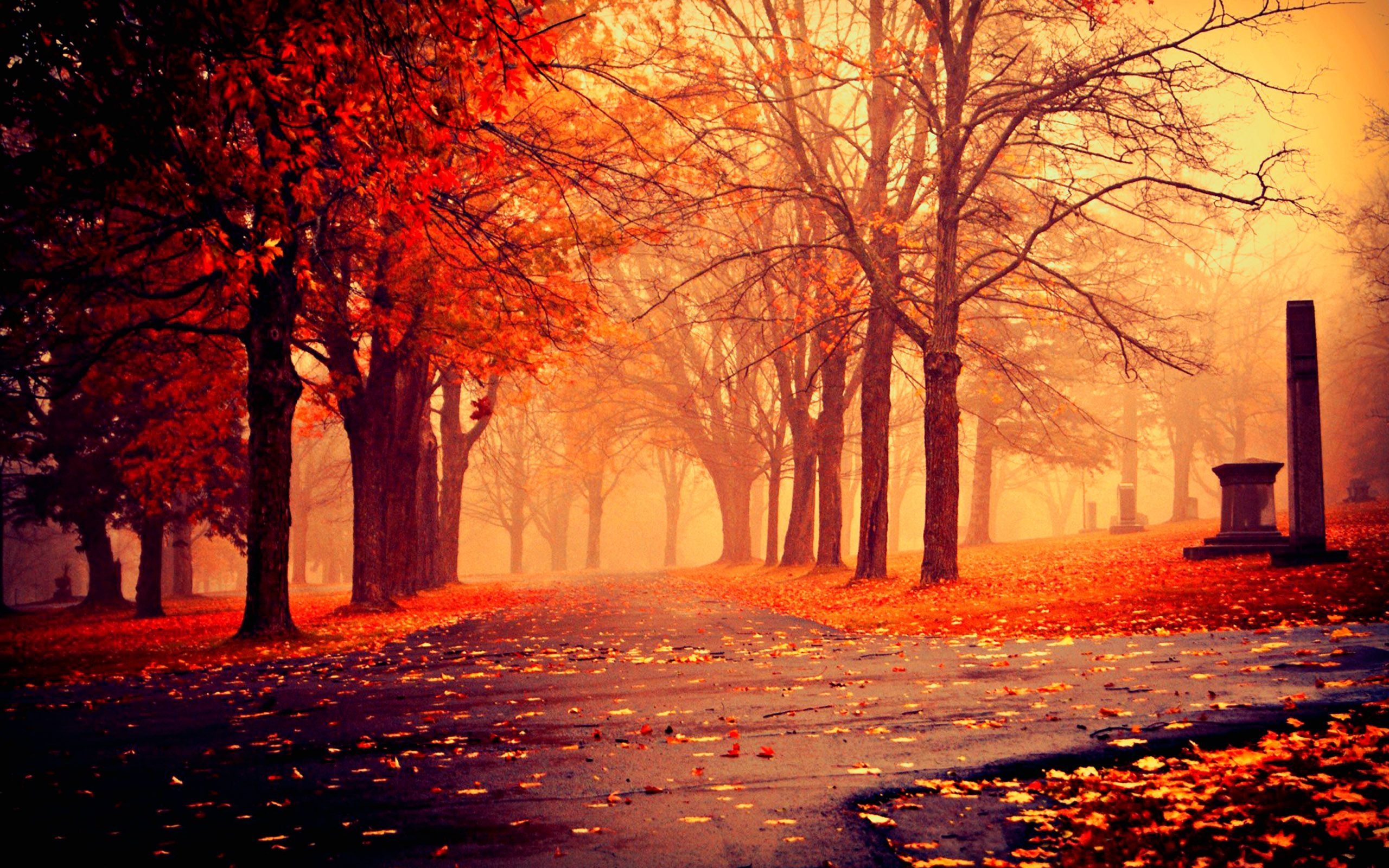 2560x1600 Autumn Background Background for Free PowerPoint, Desktop