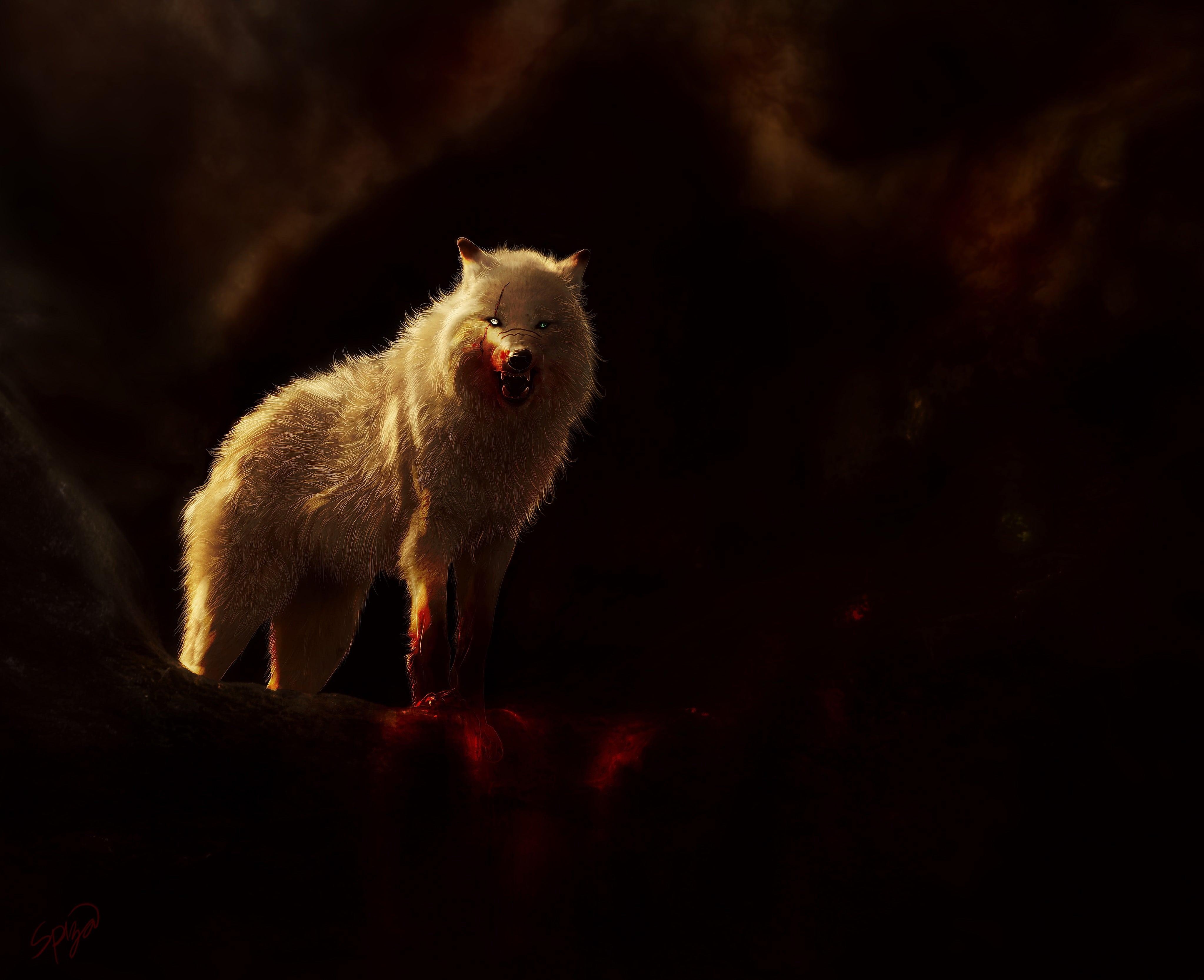 4100x3340 Arctic Wolf Aggressive Predator Wild Digital Art 4k, Desktop