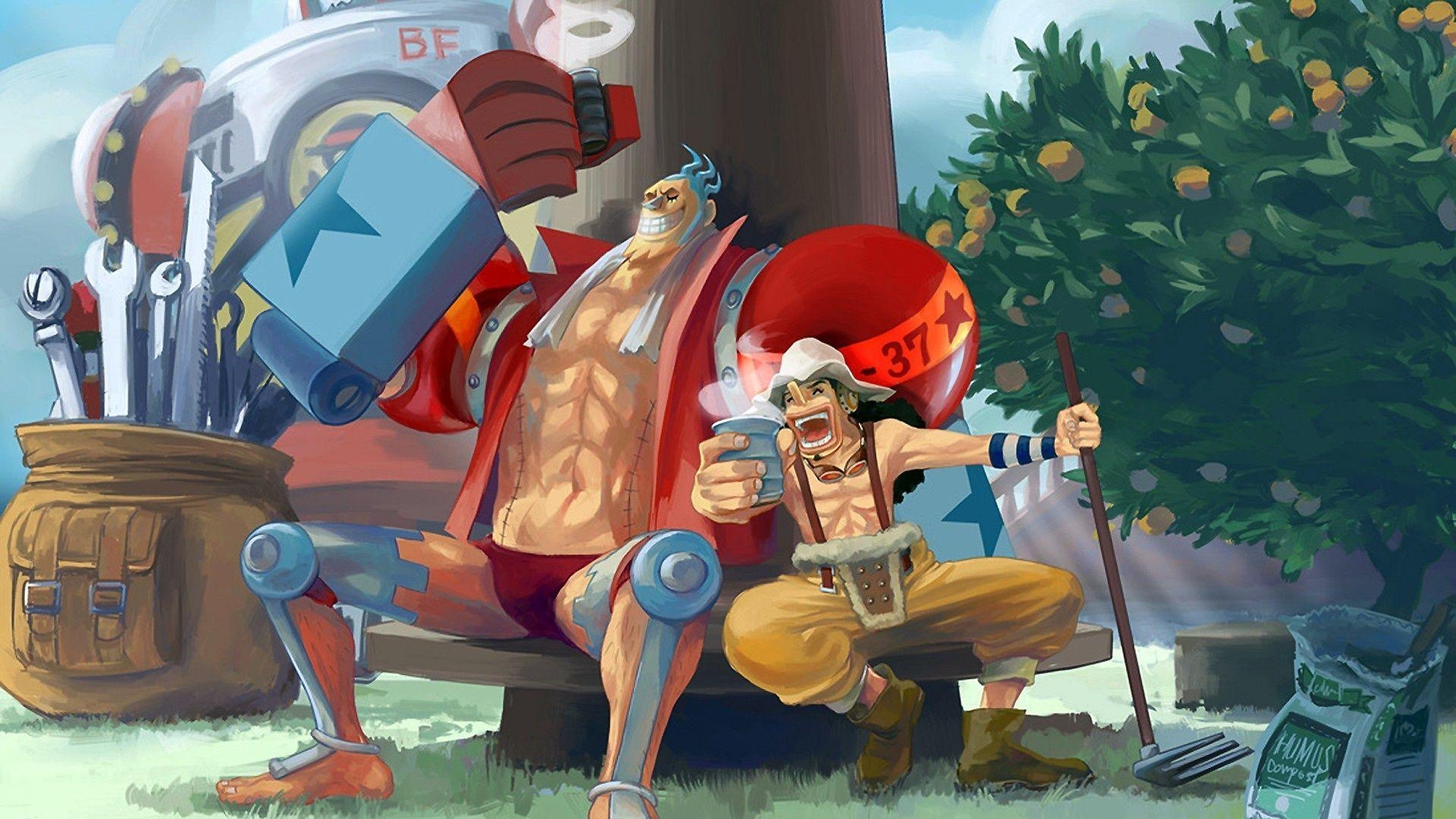 1920x1080 Franky and Usopp Computer Wallpaper, Desktop Background, Desktop