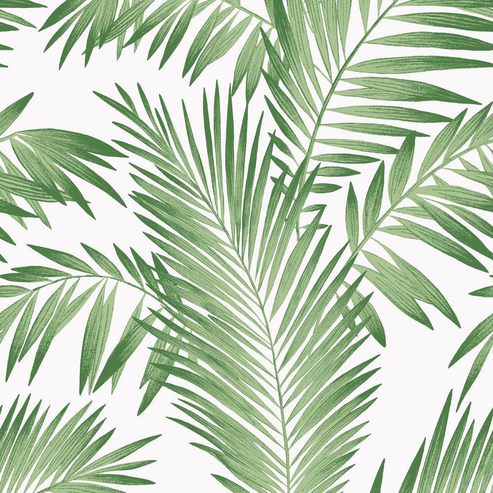 1000x1000 Tropical Palm Green Wallpaper Leaves Aesthetic Background, Phone