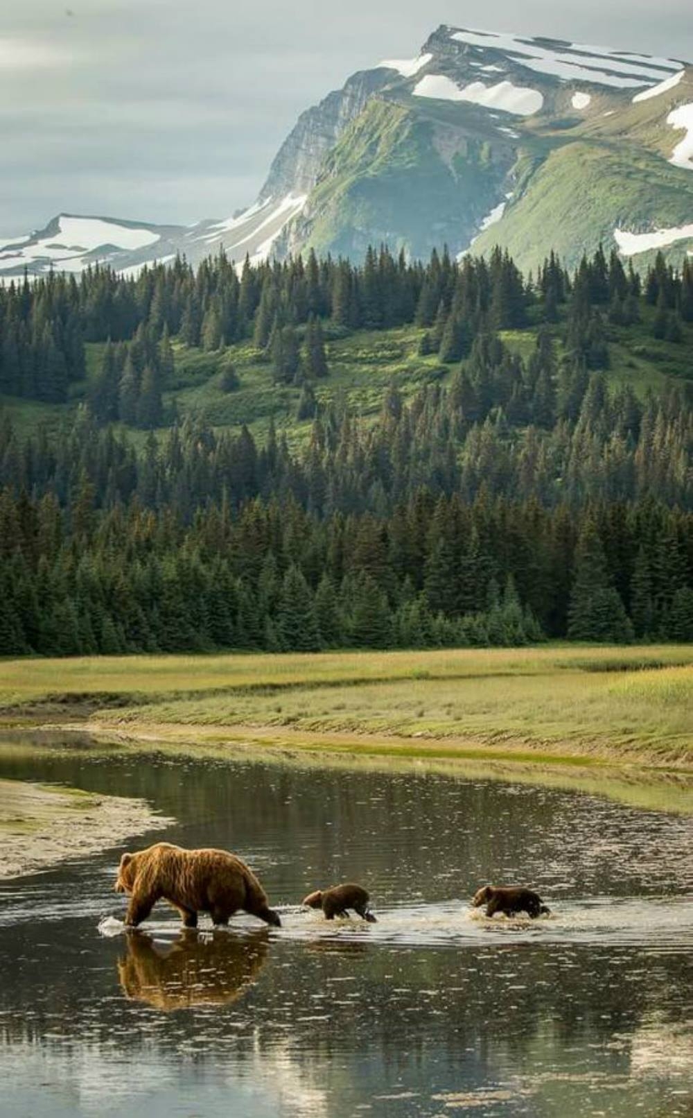 1000x1620 Lake Clark National Park and Preserve is a United States National, Phone